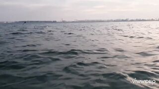 Рыбалка в Бахрейне часть 2 Fishing in Bahrain part 2