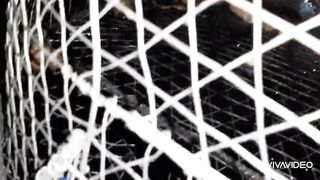 Рыбалка в Бахрейне часть 2 Fishing in Bahrain part 2