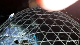 Рыбалка в Бахрейне часть 2 Fishing in Bahrain part 2