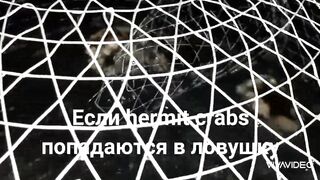 Рыбалка в Бахрейне часть 2 Fishing in Bahrain part 2