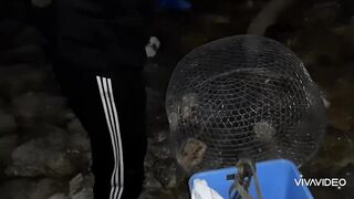 Бахрейн - особенности морской рыбалки