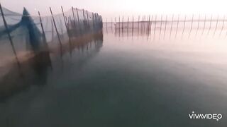 Бахрейн - особенности морской рыбалки