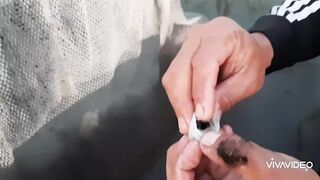 Бахрейн - особенности морской рыбалки