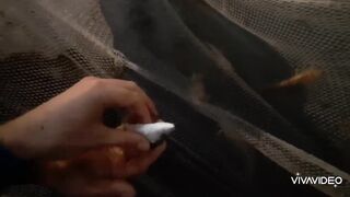 Бахрейн - особенности морской рыбалки