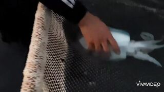 Бахрейн - особенности морской рыбалки