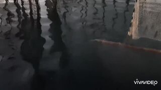 Бахрейн - особенности морской рыбалки