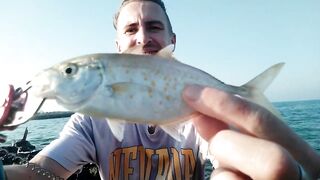 Bahrain (Бахрейн), Zallaq (Заллак), сарган и квинфиш