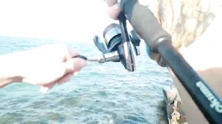 Bahrain (Бахрейн), Zallaq (Заллак), сарган и квинфиш