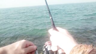 Bahrain (Бахрейн), Zallaq (Заллак), сарган и квинфиш