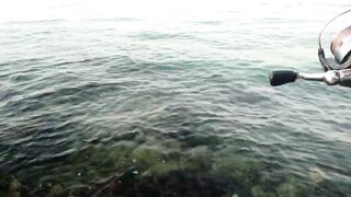 Bahrain (Бахрейн), Zallaq (Заллак), сарган и квинфиш