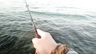 Bahrain (Бахрейн), Zallaq (Заллак), сарган и квинфиш