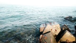 Bahrain (Бахрейн), Zallaq (Заллак), сарган и квинфиш