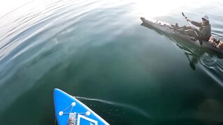 Севастополь, бухта Омега три дня на пресной наживке у моря