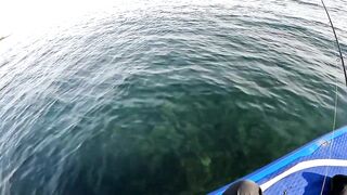 Севастополь, бухта Омега три дня на пресной наживке у моря