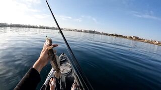 Севастополь, бухта Омега три дня на пресной наживке у моря