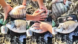 Севастополь - трофейный зубарь у береговых свалов