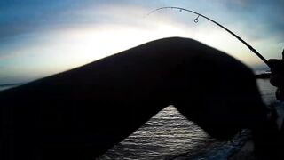 Севастополь ловля ласкиря на CF Arion 702 с берега