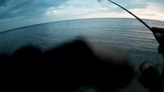 Севастополь ловля ласкиря на CF Arion 702 с берега