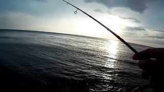 Севастополь ловля ласкиря на CF Arion 702 с берега