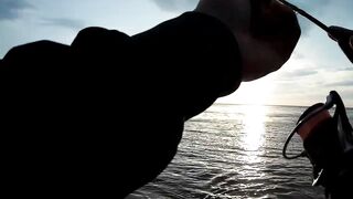 Севастополь ловля ласкиря на CF Arion 702 с берега