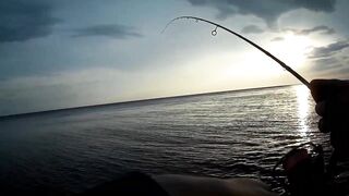 Севастополь ловля ласкиря на CF Arion 702 с берега