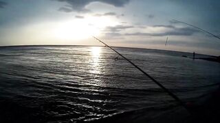 Севастополь ловля ласкиря на CF Arion 702 с берега