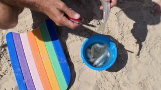 Израиль. Морская рыбалка у берега и сашими