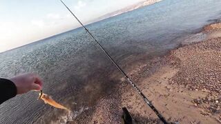 Эйлат рыбалка у берега что сейчас ловят по сезону?