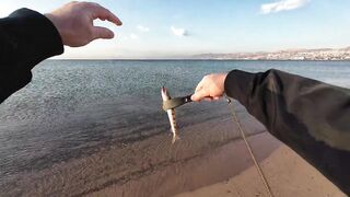 Эйлат рыбалка у берега что сейчас ловят по сезону?