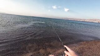 Эйлат рыбалка у берега что сейчас ловят по сезону?