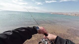 Эйлат рыбалка у берега что сейчас ловят по сезону?