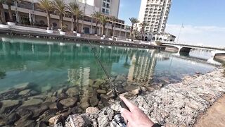 Эйлат рыбалка у берега что сейчас ловят по сезону?