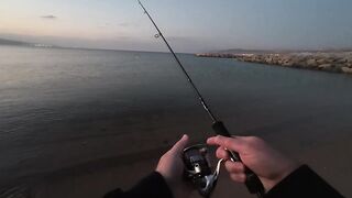 Эйлат рыбалка у берега что сейчас ловят по сезону?