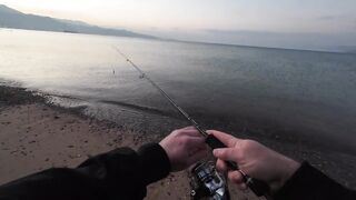 Эйлат рыбалка у берега что сейчас ловят по сезону?