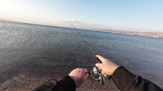 Эйлат рыбалка у берега что сейчас ловят по сезону?