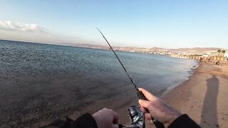 Эйлат рыбалка у берега что сейчас ловят по сезону?