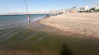 Эйлат: сутки на море и ловля саргана и кальмара, шурик