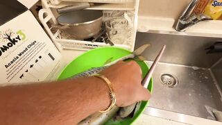 Эйлат: сутки на море и ловля саргана и кальмара, шурик