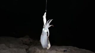 Эйлат: сутки на море и ловля саргана и кальмара, шурик