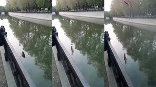 Симферополь, набережная Салгира: ловля карпа на городской реке