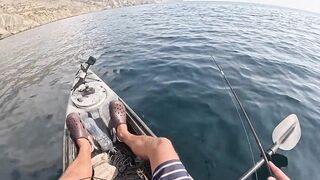 Мыс Меганом, Крым, зубарь и сарган, луфарь и пеламида