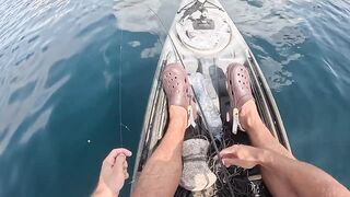 Мыс Меганом, Крым, зубарь и сарган, луфарь и пеламида