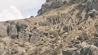 Мыс Меганом, Крым, зубарь и сарган, луфарь и пеламида