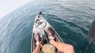 Мыс Меганом, Крым, зубарь и сарган, луфарь и пеламида