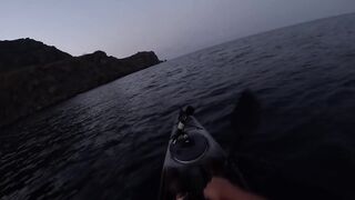 Мыс Меганом, Крым, зубарь и сарган, луфарь и пеламида