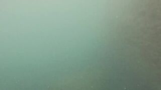 Мыс Меганом, Крым, зубарь и сарган, луфарь и пеламида