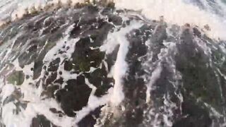 Мыс Меганом, Крым, зубарь и сарган, луфарь и пеламида