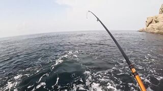 Мыс Меганом, Крым, зубарь и сарган, луфарь и пеламида