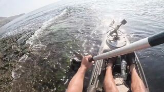 Мыс Меганом, Крым, зубарь и сарган, луфарь и пеламида