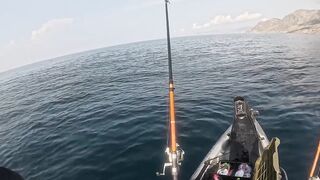 Мыс Меганом, Крым, зубарь и сарган, луфарь и пеламида